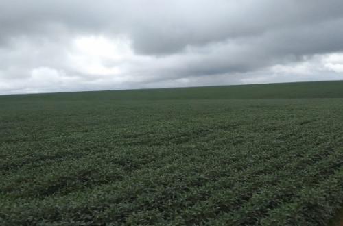 fazenda á venda 